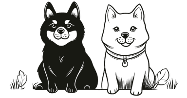 Dogs