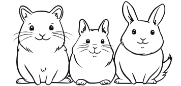Small Pets